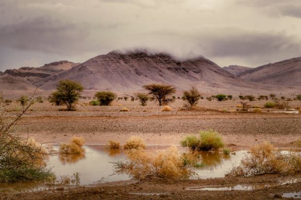 A breathtaking view of a desert landscape with mountains and scattered vegetation.