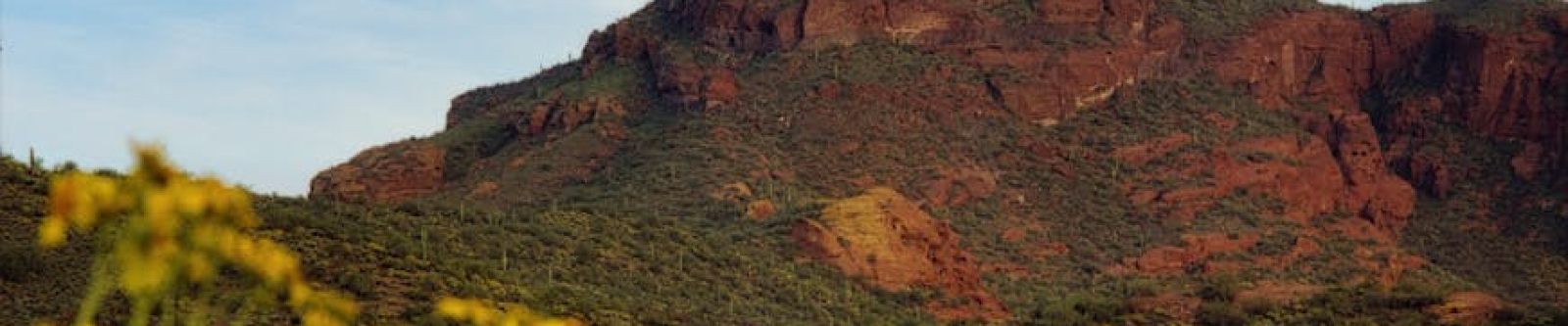 How Do Spring And Fall Compare As Selling Seasons In Cave Creek AZ?