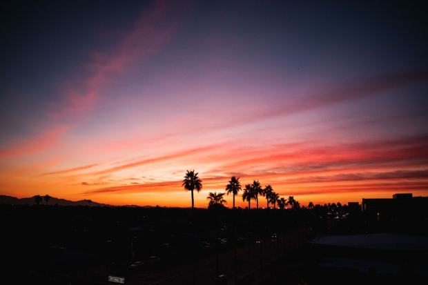 Stunning twilight view of palm trees silhouetted against a vibrant sunset in Phoenix, Arizona.
