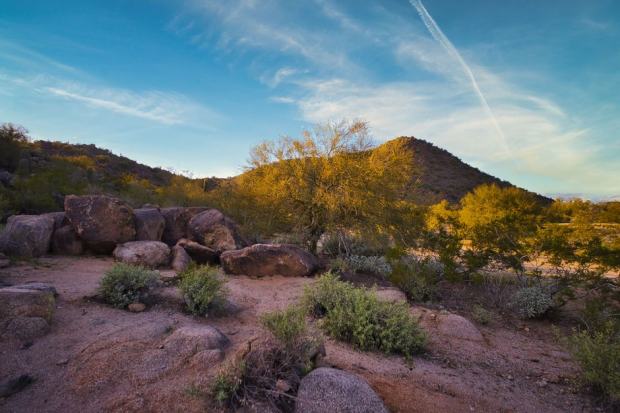 Explore the natural beauty of Phoenix, Arizona with this stunning desert landscape shot, rich in earthy tones.